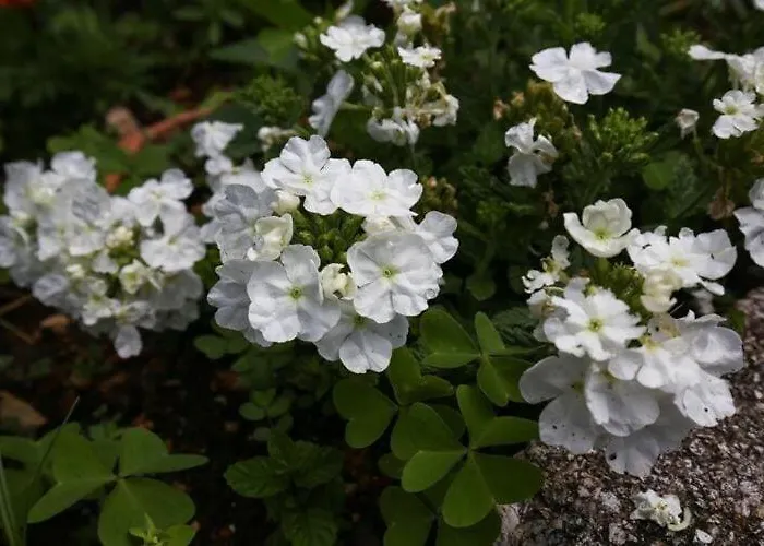 דירה Miskovic - Duplex One Bedroom With Balcony And Sea View West *